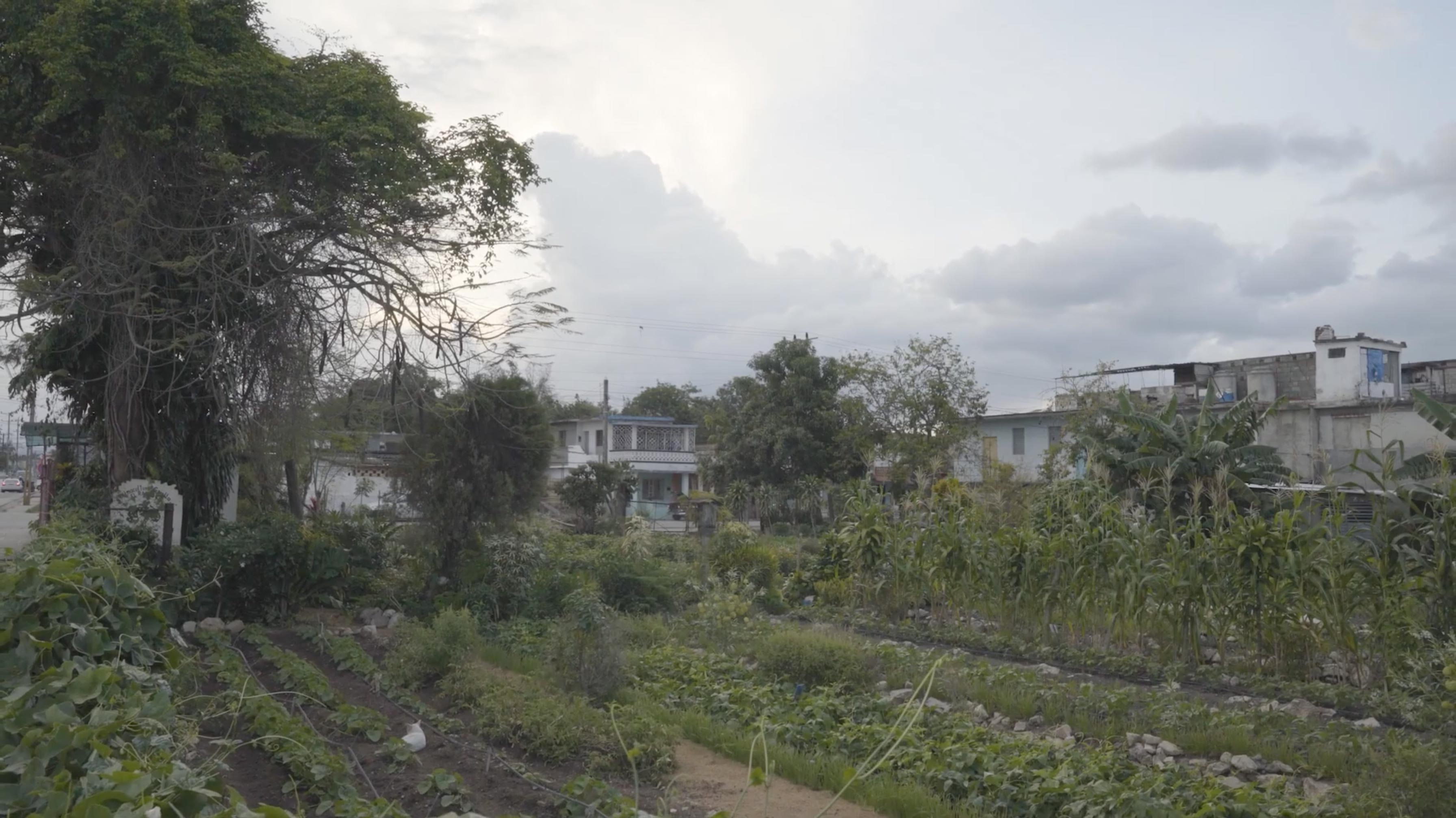 Nuestra Agroecología, Nuestro Futuro