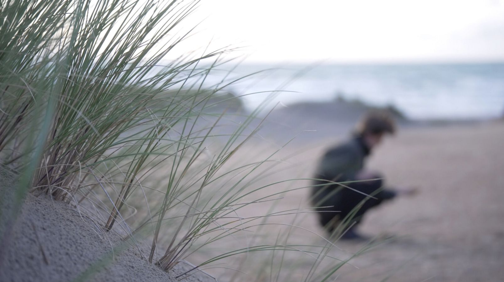 Dune Forest