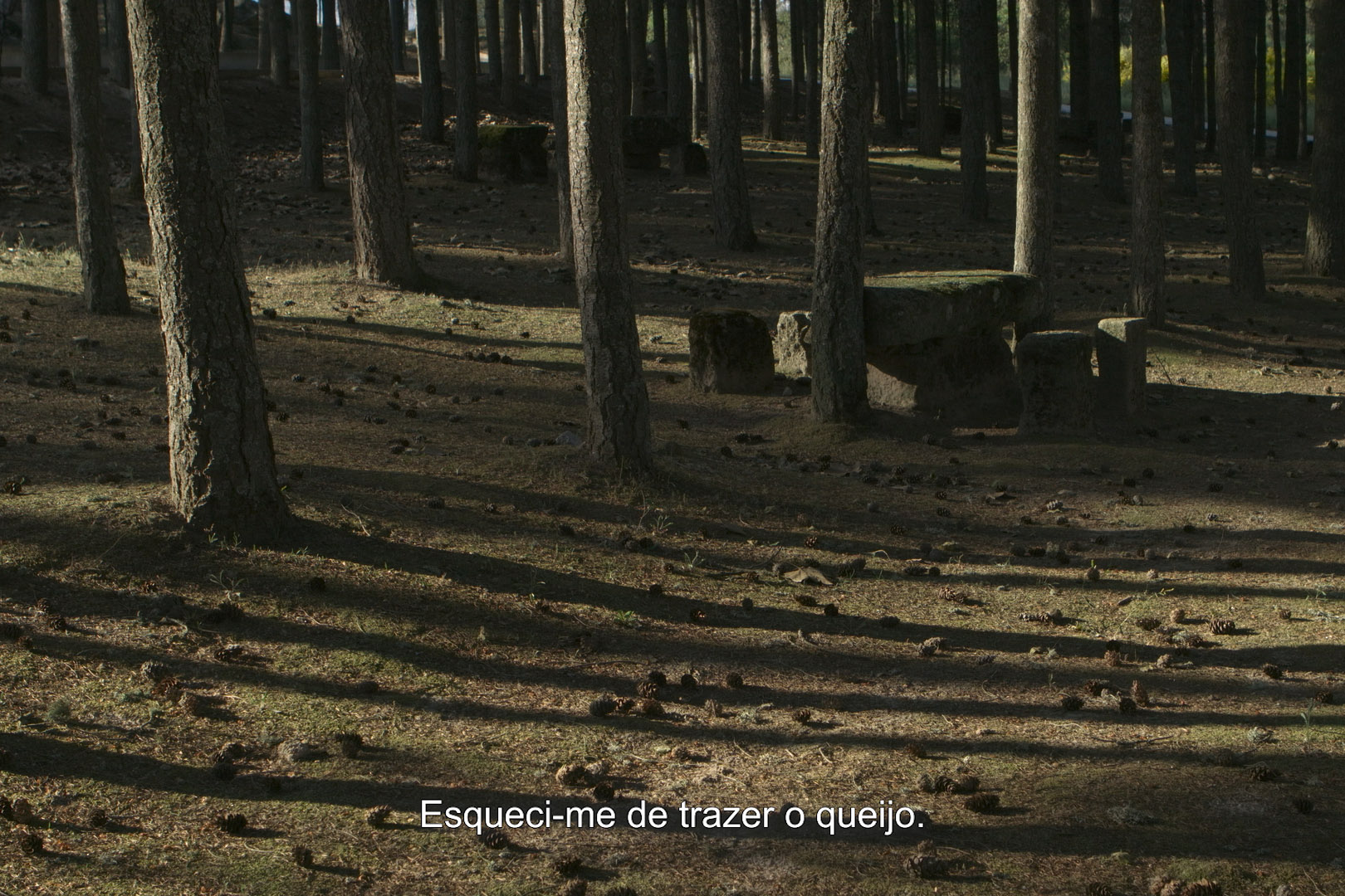 Estou a Sentir Qualquer Coisa