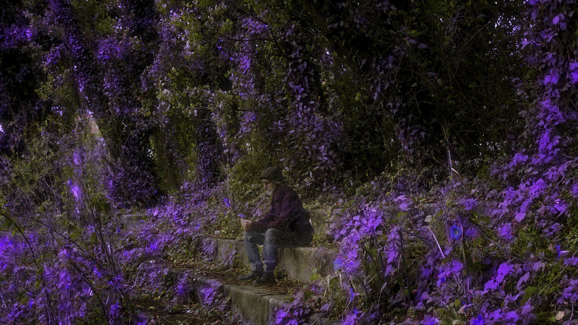 Ultravioleta